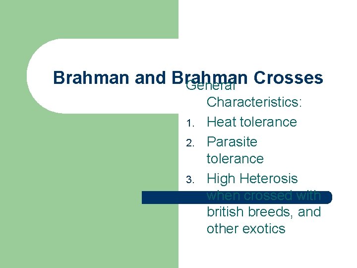 Brahman and Brahman General Crosses 1. 2. 3. Characteristics: Heat tolerance Parasite tolerance High