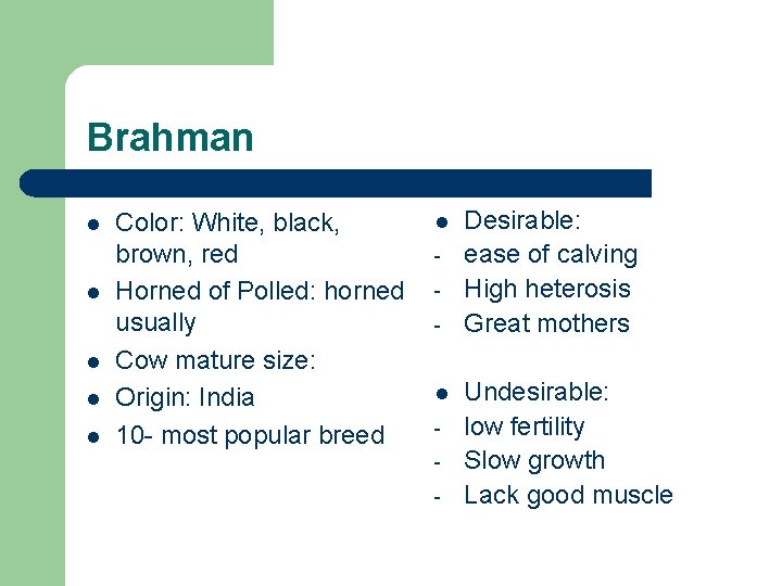 Brahman l l l Color: White, black, brown, red Horned of Polled: horned usually