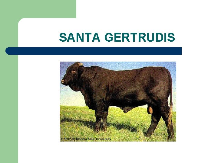 SANTA GERTRUDIS 