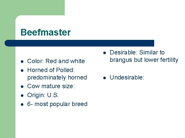 Beefmaster l l l Color: Red and white Horned of Polled: predominately horned Cow