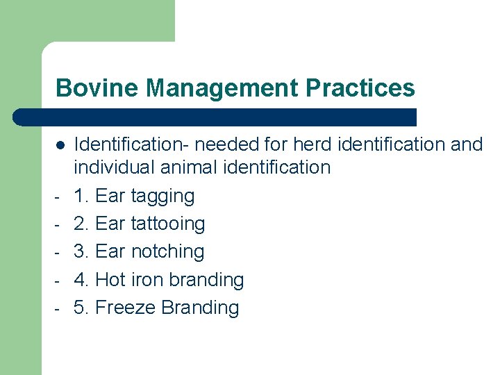 Bovine Management Practices l - Identification- needed for herd identification and individual animal identification
