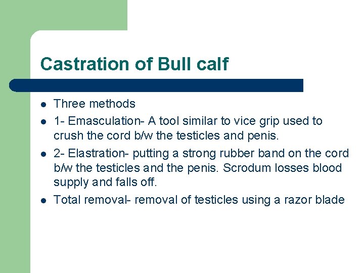 Castration of Bull calf l l Three methods 1 - Emasculation- A tool similar