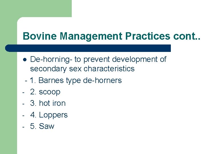 Bovine Management Practices cont. . De-horning- to prevent development of secondary sex characteristics -