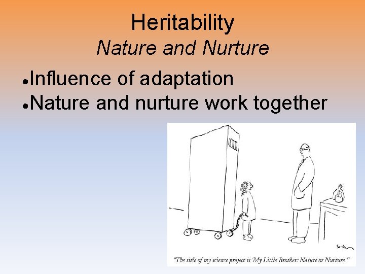 Heritability Nature and Nurture Influence of adaptation ●Nature and nurture work together ● 