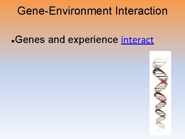 Gene-Environment Interaction ● Genes and experience interact 
