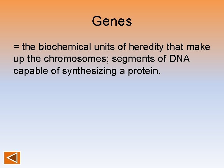 Genes = the biochemical units of heredity that make up the chromosomes; segments of