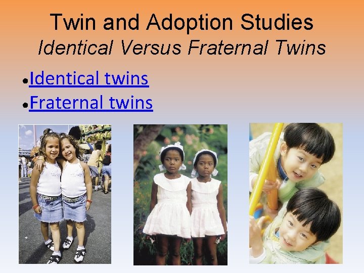Twin and Adoption Studies Identical Versus Fraternal Twins ●Identical twins ●Fraternal twins 
