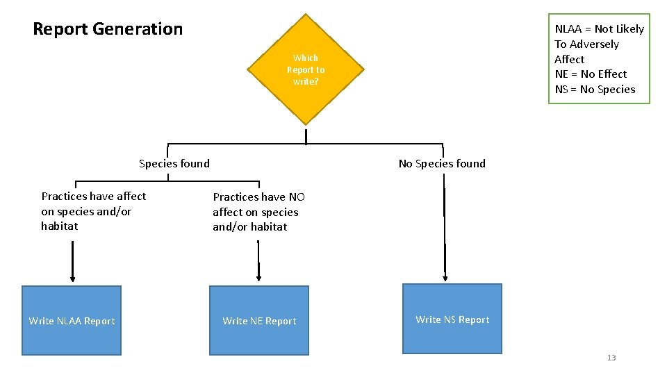 Report Generation NLAA = Not Likely To Adversely Affect NE = No Effect NS Report Generation NLAA = Not Likely To Adversely Affect NE = No Effect NS