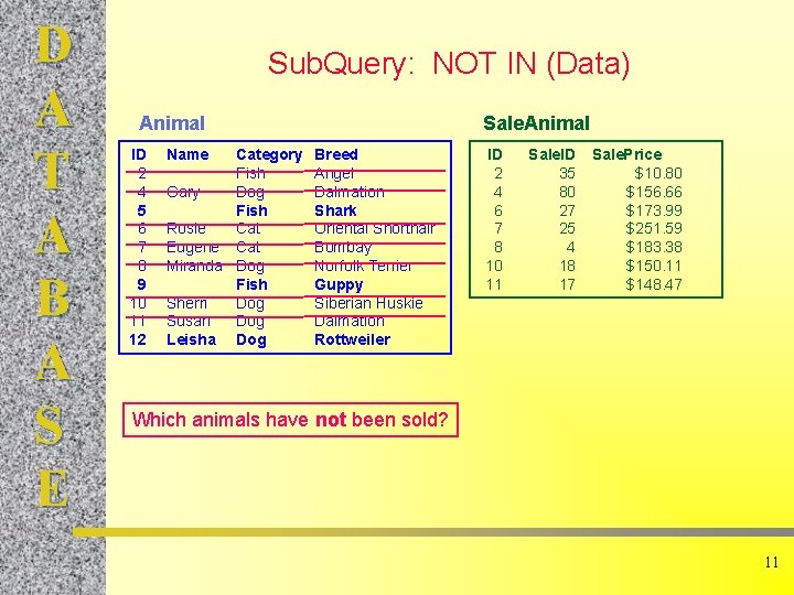 D A T A B A S E Sub. Query: NOT IN (Data) Animal