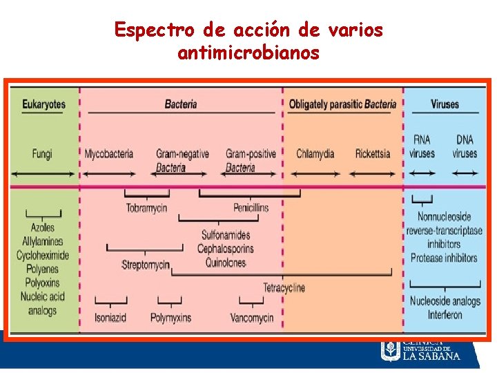 Espectro de acción de varios antimicrobianos 