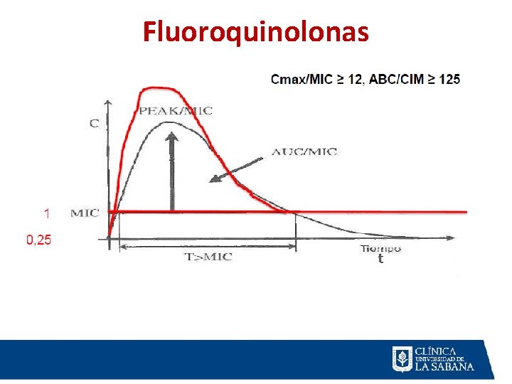 Fluoroquinolonas 