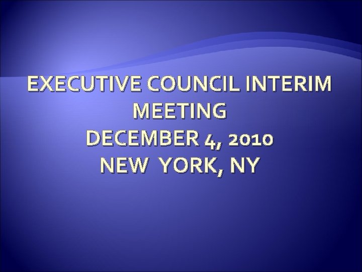 EXECUTIVE COUNCIL INTERIM MEETING DECEMBER 4, 2010 NEW YORK, NY 