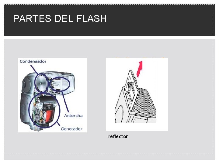 PARTES DEL FLASH reflector 