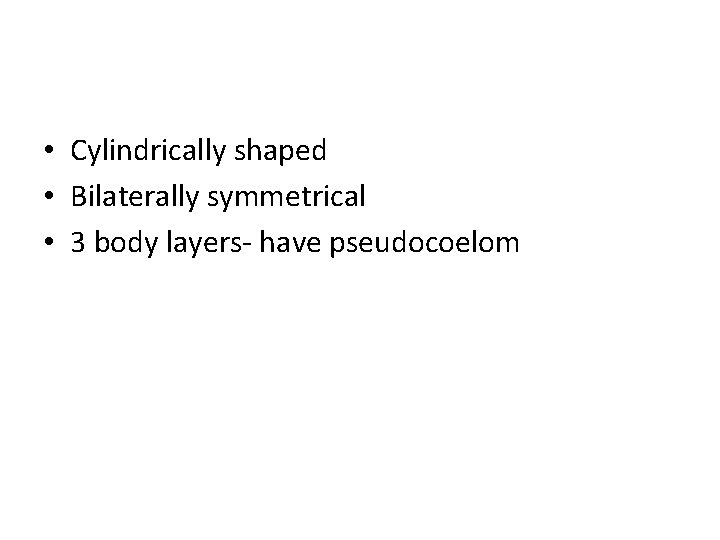 • Cylindrically shaped • Bilaterally symmetrical • 3 body layers- have pseudocoelom 