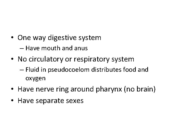  • One way digestive system – Have mouth and anus • No circulatory