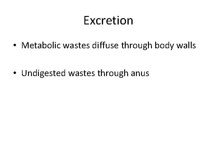 Excretion • Metabolic wastes diffuse through body walls • Undigested wastes through anus 