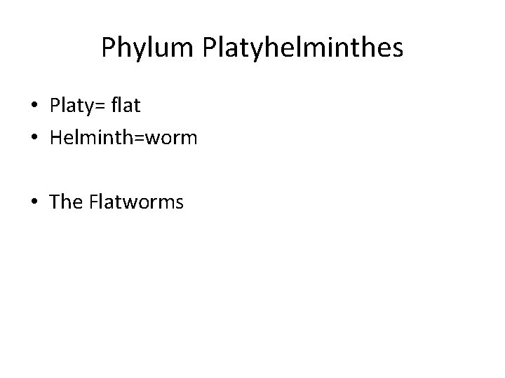 Phylum Platyhelminthes • Platy= flat • Helminth=worm • The Flatworms 