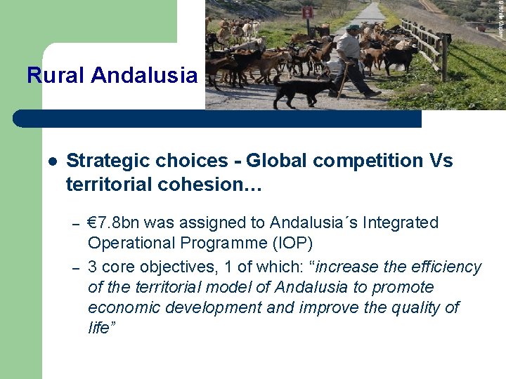 Rural Andalusia l Strategic choices - Global competition Vs territorial cohesion… – – €