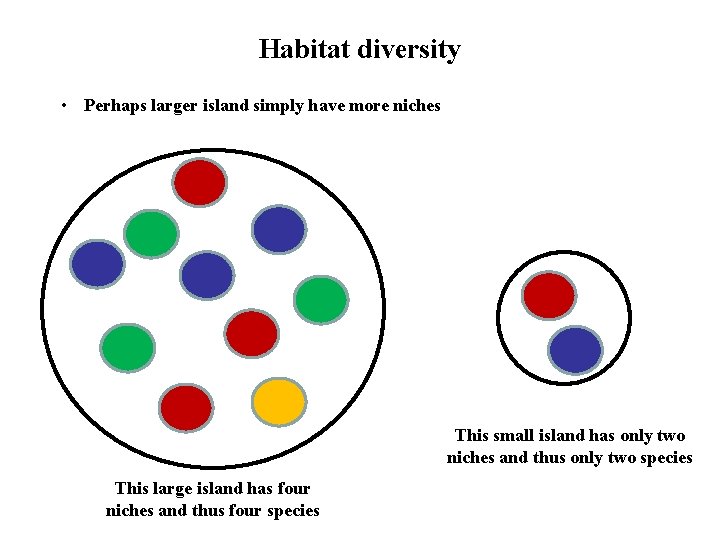 Habitat diversity • Perhaps larger island simply have more niches This small island has