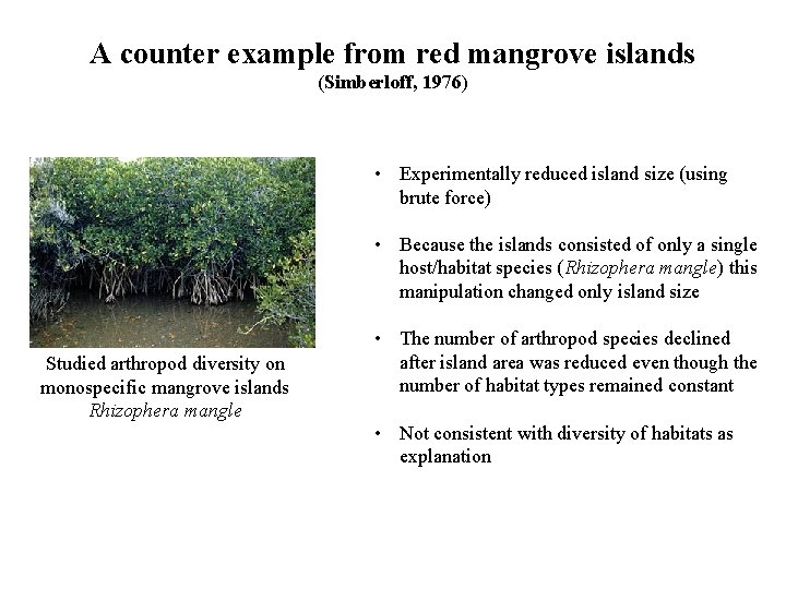 A counter example from red mangrove islands (Simberloff, 1976) • Experimentally reduced island size