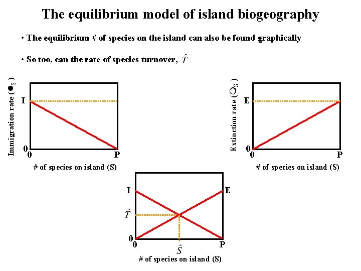 The equilibrium model of island biogeography • The equilibrium # of species on the