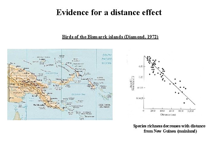 Evidence for a distance effect Birds of the Bismarck islands (Diamond, 1972) Species richness