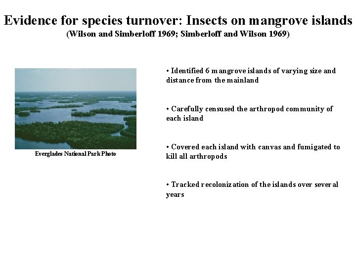 Evidence for species turnover: Insects on mangrove islands (Wilson and Simberloff 1969; Simberloff and