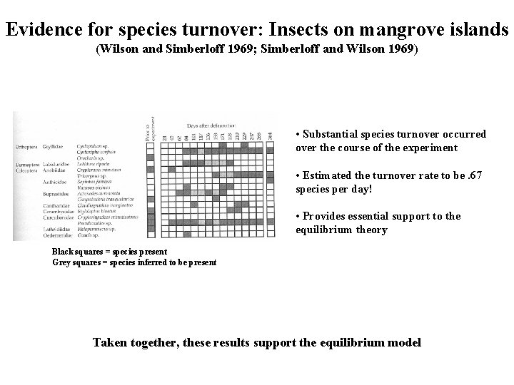 Evidence for species turnover: Insects on mangrove islands (Wilson and Simberloff 1969; Simberloff and