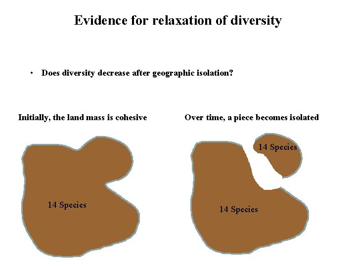 Evidence for relaxation of diversity • Does diversity decrease after geographic isolation? Initially, the