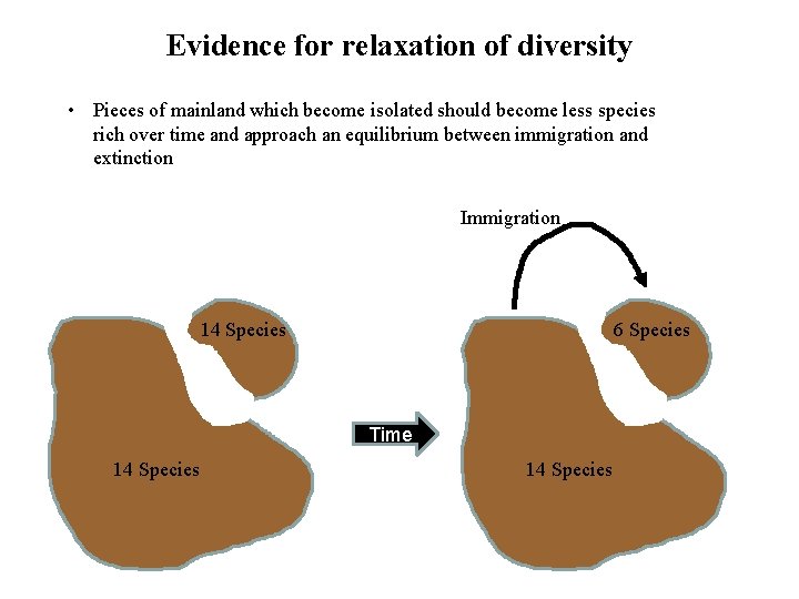 Evidence for relaxation of diversity • Pieces of mainland which become isolated should become