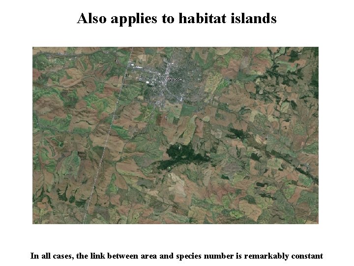Also applies to habitat islands In all cases, the link between area and species