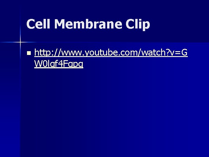 Cell Membrane Clip n http: //www. youtube. com/watch? v=G W 0 lqf 4 Fqpg