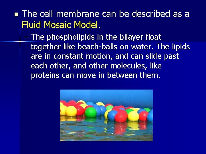 n The cell membrane can be described as a Fluid Mosaic Model. – The