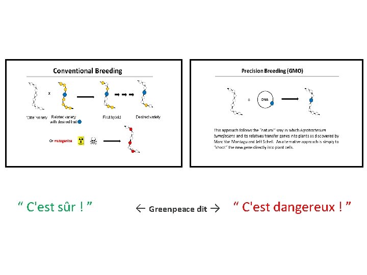 “ C'est sûr ! ” ← Greenpeace dit → “ C'est dangereux ! ”