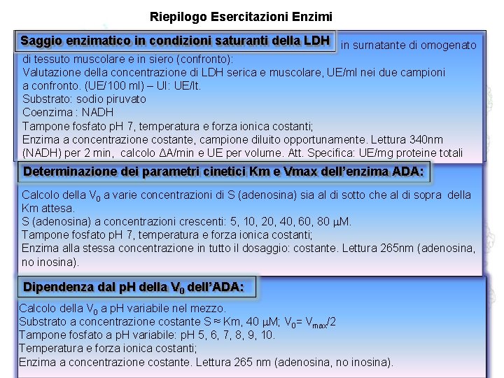 Riepilogo Esercitazioni Enzimi Saggio enzimatico in condizioni saturanti della LDH in surnatante di omogenato