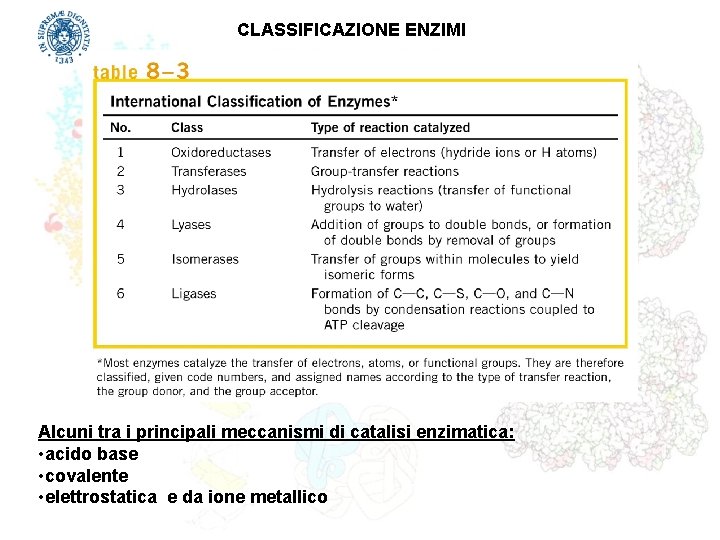 CLASSIFICAZIONE ENZIMI Alcuni tra i principali meccanismi di catalisi enzimatica: • acido base •