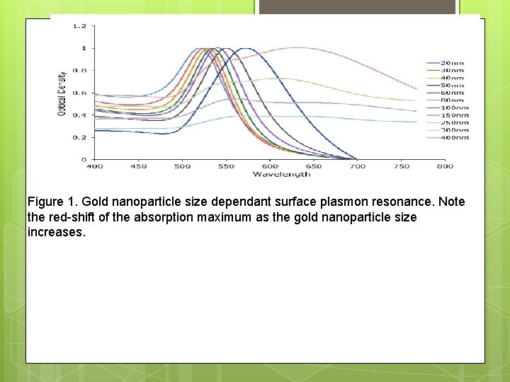 Figure 1. Gold nanoparticle size dependant surface plasmon resonance. Note the red-shift of the