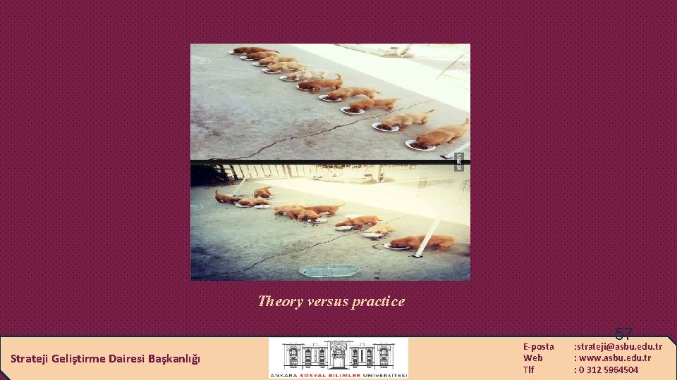 Theory versus practice Strateji Geliştirme Dairesi Başkanlığı E-posta Web Tlf 57 : strateji@asbu. edu.