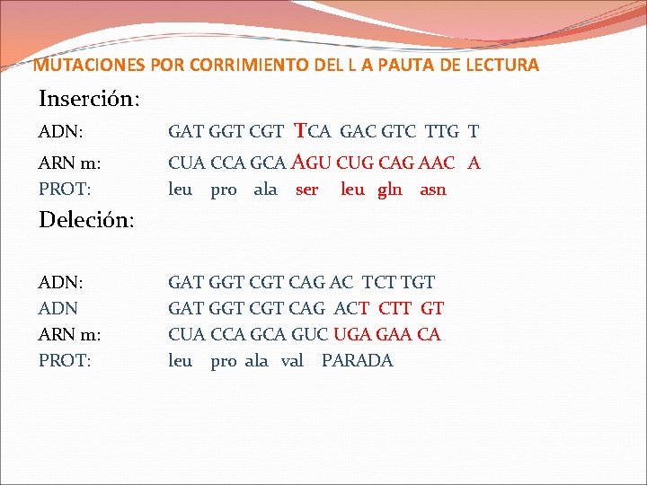 MUTACIONES POR CORRIMIENTO DEL L A PAUTA DE LECTURA Inserción: TCA GAC GTC TTG