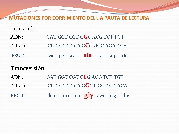 MUTACIONES POR CORRIMIENTO DEL L A PAUTA DE LECTURA Transición: ADN: GAT GGT CGG