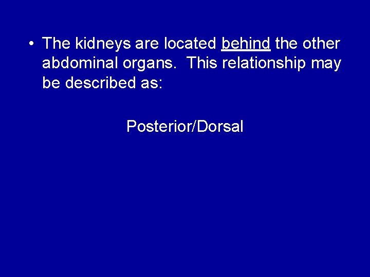  • The kidneys are located behind the other abdominal organs. This relationship may