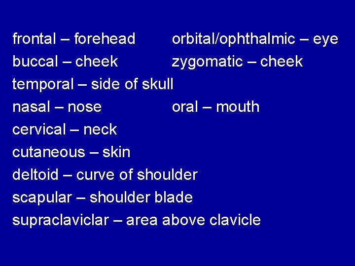 frontal – forehead orbital/ophthalmic – eye buccal – cheek zygomatic – cheek temporal –