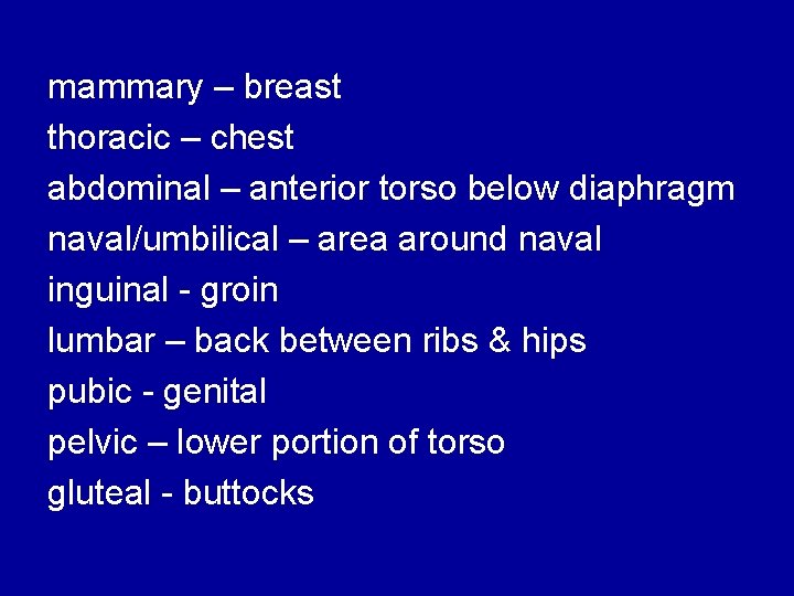 mammary – breast thoracic – chest abdominal – anterior torso below diaphragm naval/umbilical –