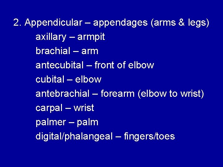2. Appendicular – appendages (arms & legs) axillary – armpit brachial – arm antecubital