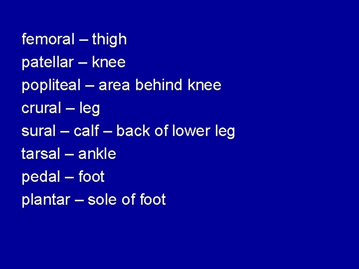 femoral – thigh patellar – knee popliteal – area behind knee crural – leg