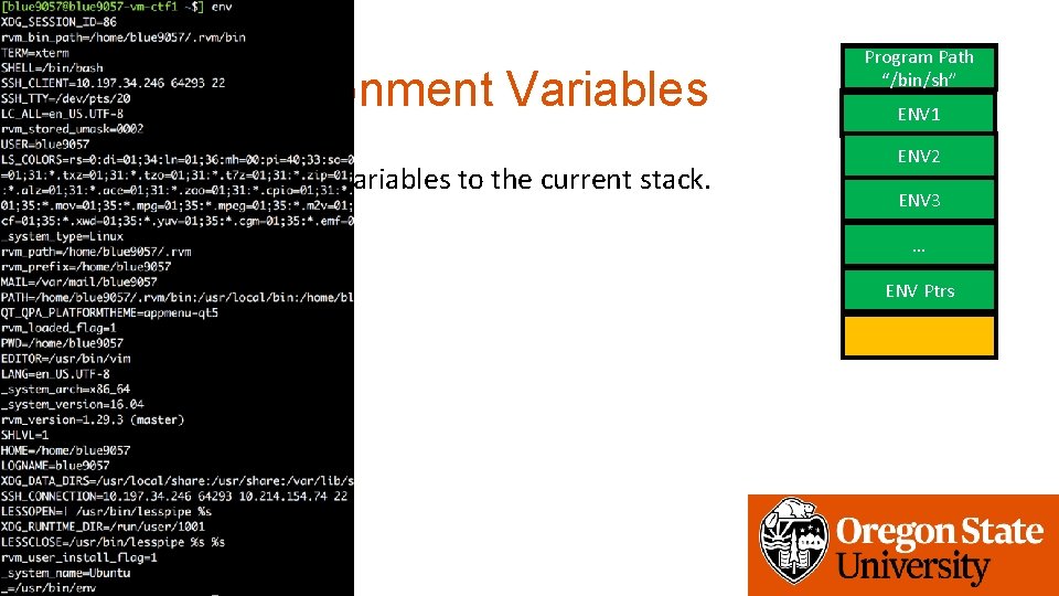 2. Set Environment Variables • Set environmental variables to the current stack. Program Path