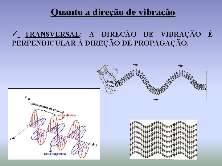 Quanto a direção de vibração ü TRANSVERSAL: A DIREÇÃO DE VIBRAÇÃO É PERPENDICULAR À