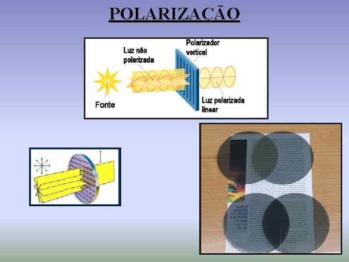 POLARIZAÇÃO 