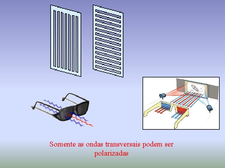 Somente as ondas transversais podem ser polarizadas 