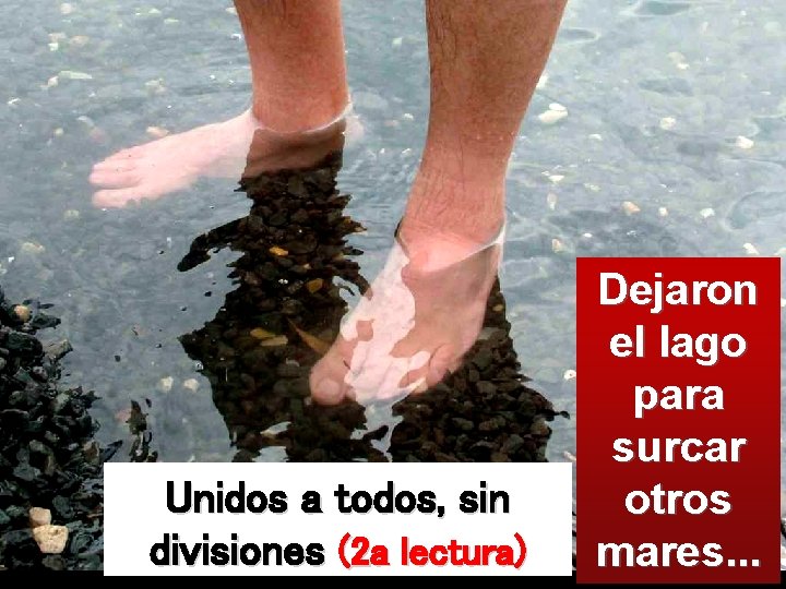 Unidos a todos, sin divisiones (2 a lectura) Dejaron el lago para surcar otros